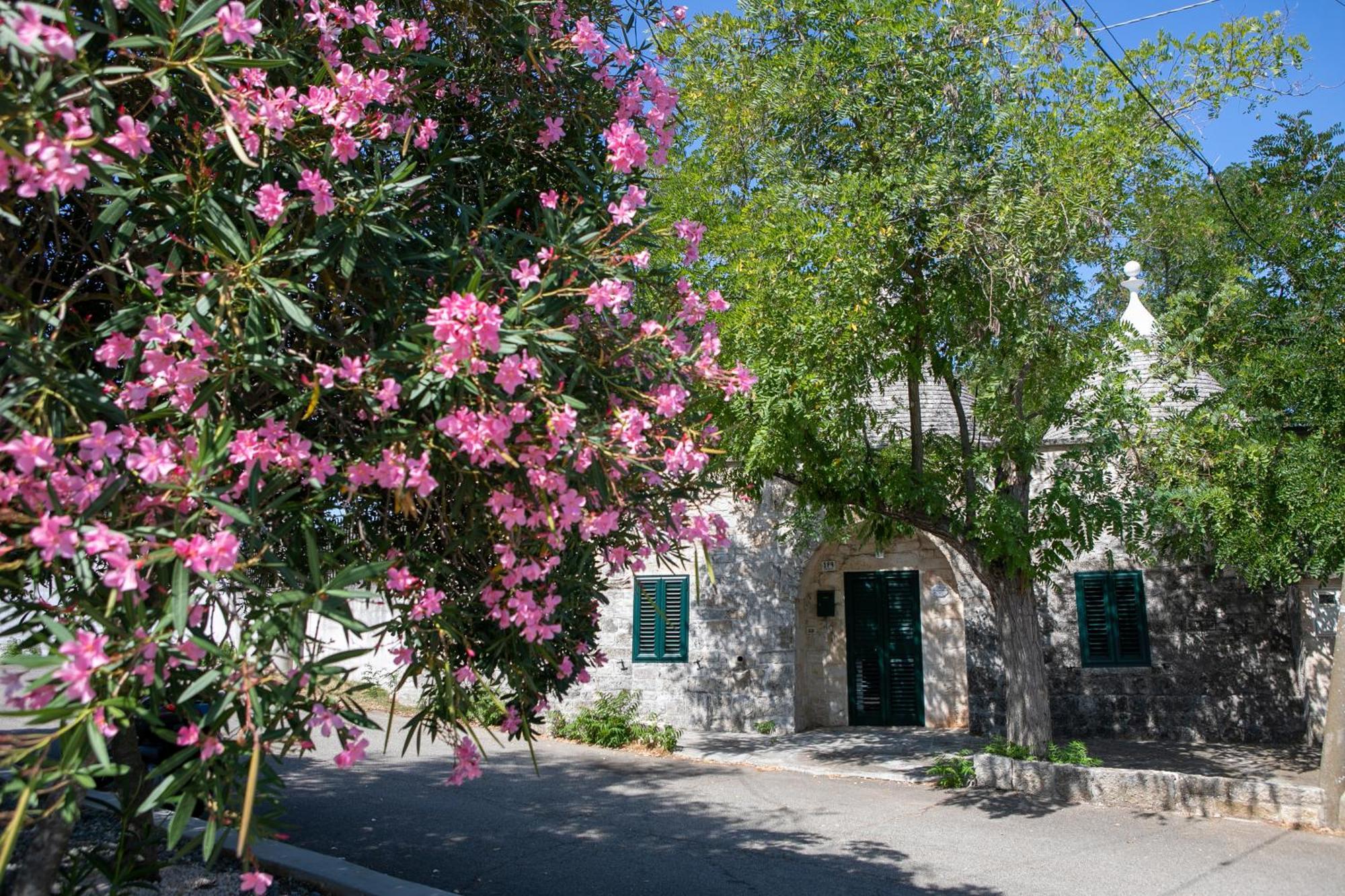 Angolo Di Puglia Locorotondo Eksteriør bilde
